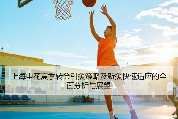上海申花夏季转会引援策略及新援快速适应的全面分析与展望